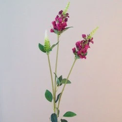 Artificial Physostegia Dark Pink 62cm - P166 T3