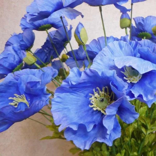 Silk Himalayan Poppies Blue 70cm - P127 J2