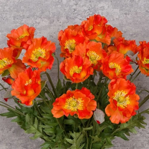 Artificial Icelandic Poppy Orange 72cm - P157 R3