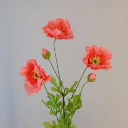 Coral Poppies 70cm - P126 K1