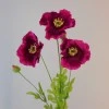 Silk Poppies Dark Pink 70cm - P129 K2