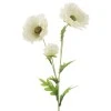 Wild Poppies White 70cm - P013 M3
