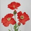 Red Poppies 70cm - P017 K4