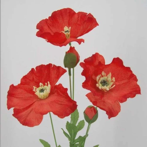 Red Poppies 70cm - P017 K4