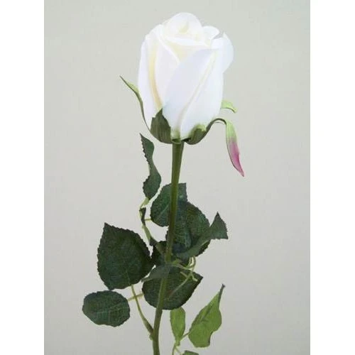 Prize Rose Bud Cream 62cm - R156A GG4