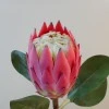 Artificial King Protea Pink 65cm - P085 J3