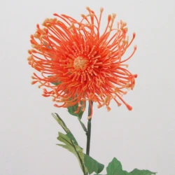Artificial Leucospermum Protea Orange 75cm - L115 KK3