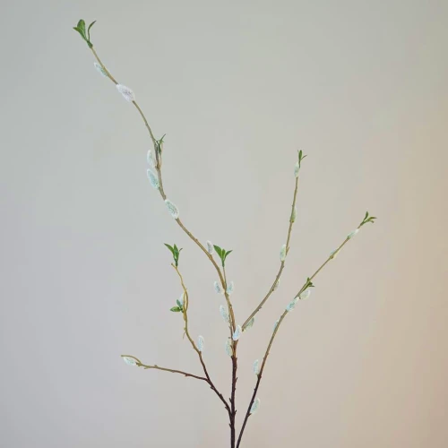 Pussy Willow Spray 110cm - PUS001 P2