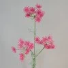 Faux Queen Anne's Lace Hot Pink 80cm - Q007