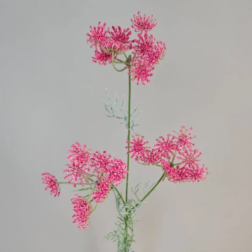 Faux Queen Anne's Lace Hot Pink 80cm - Q007
