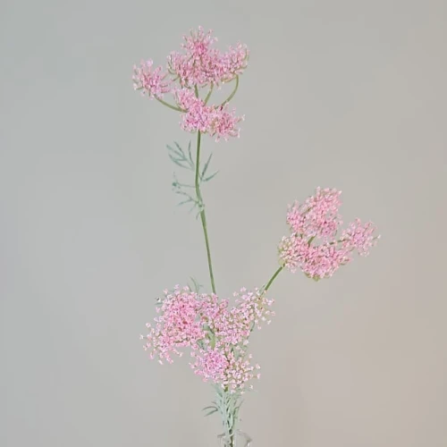 Faux Queen Anne's Lace Pink 80cm - Q008