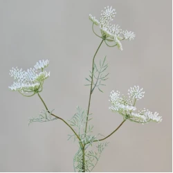 Faux Queen Anne's Lace White 80cm - Q003 