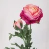Artificial Ranunculus Pink Peach 40cm - R042 G4