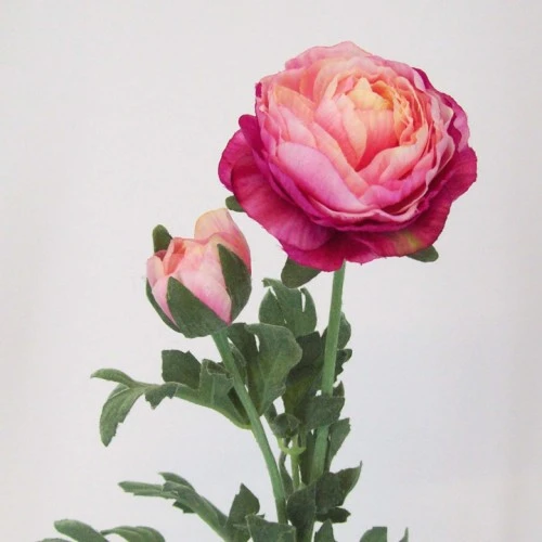 Artificial Ranunculus Pink Peach 40cm - R042 G4