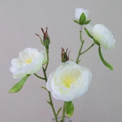 Artificial Ranunculus Flowers Cream Open 43cm - R426 Q2