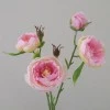 Ranunculus Flowers Pink Open 43cm - R427 GG4