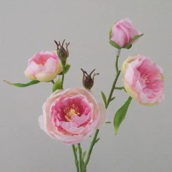 Ranunculus Flowers Pink Open 43cm - R427 GG4