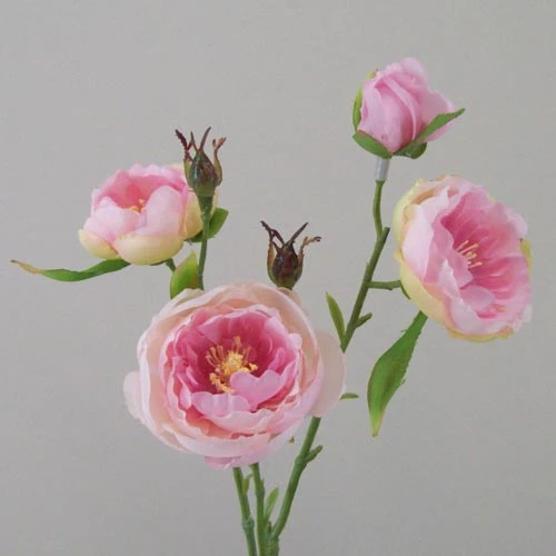 Ranunculus Flowers Pink Open 43cm - R427 GG4
