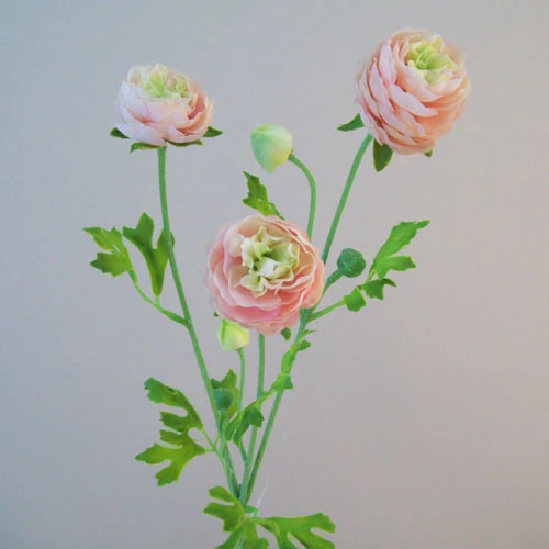 Silk Ranunculus Flowers Pink and Green 65cm - R659 M3