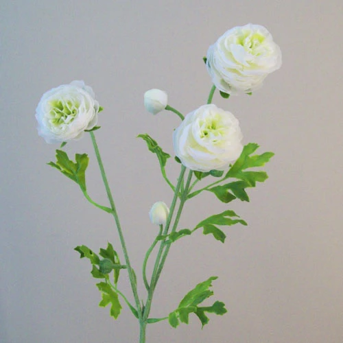 Silk Ranunculus Flowers White and Green 65cm - R660 L2