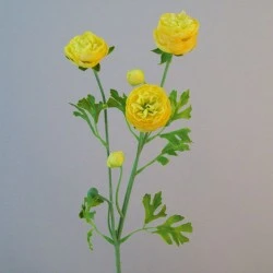 Silk Ranunculus Flowers Yellow 65cm - R662 O4