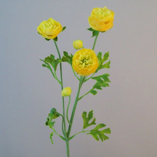 Silk Ranunculus Flowers Yellow 65cm - R662 O4