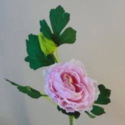 Ranunculus Light Pink 43cm - R760 L2