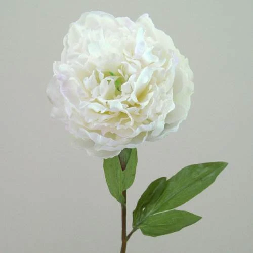 Real Touch Peony Cream 70cm - P015 
