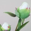 Real Touch Peony Buds Cream 48cm - P037 J3