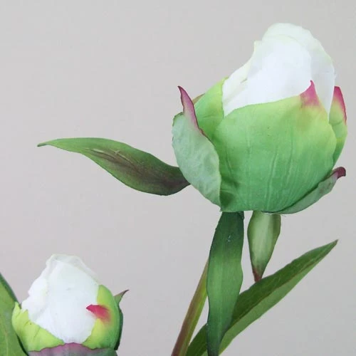 Real Touch Peony Buds Cream 48cm - P037 J3