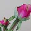 Real Touch Peony Buds Magenta 48cm - P020 L3