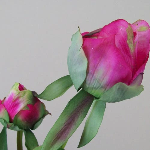 Real Touch Peony Buds Magenta 48cm - P020 L3