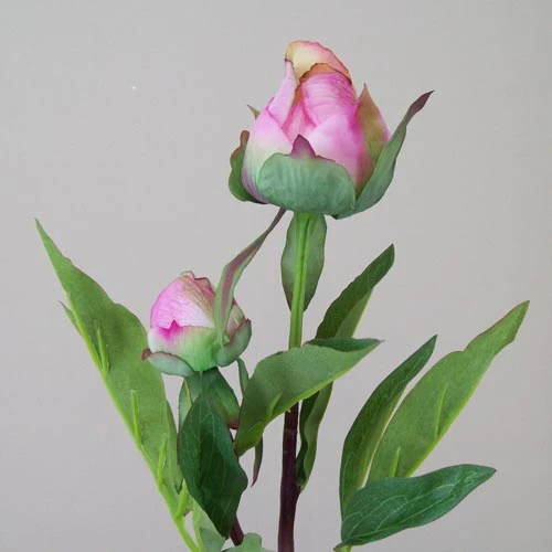 Real Touch Peony Buds Pink 48cm - P039 L3