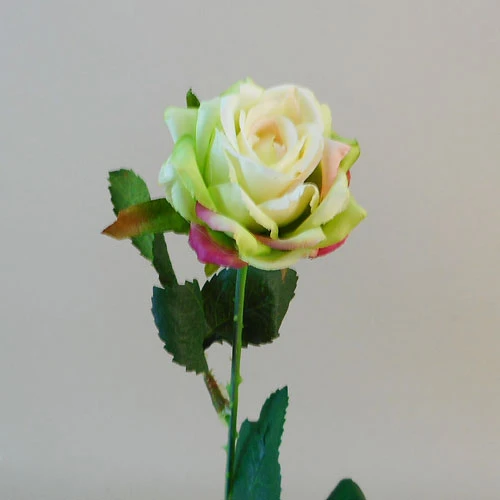 Artificial Button Roses Stem Green 40cm - R691 U3