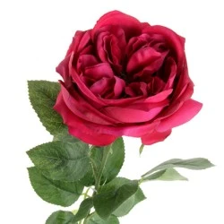 Artificial Cabbage Rose Cerise Pink 60cm - R777 N3