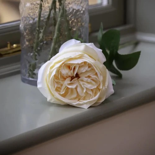 Artificial Cabbage Rose Cream 60cm - R762 P3