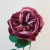 Artificial Cabbage Rose Dusky Dark Pink 60cm - R780 R2