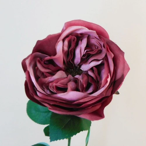 Artificial Cabbage Rose Dusky Dark Pink 60cm - R780 R2