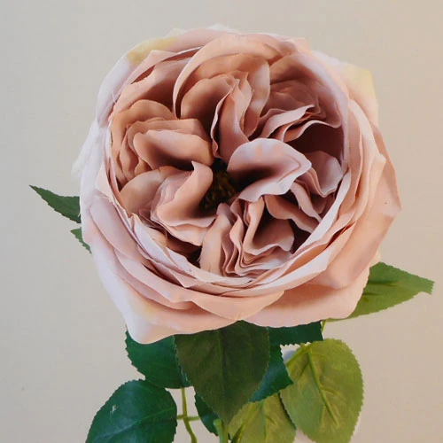 Artificial Cabbage Rose Dusky Pink 60cm - R763 U4