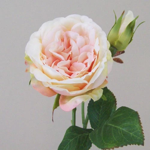 Artificial Cabbage Roses Peach 37cm - R420 U3