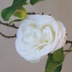 Artificial Cabbage Roses Branch Cream 90cm - R802 O4