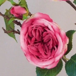 Artificial Cabbage Roses Branch Pink 90cm - R804 LL2