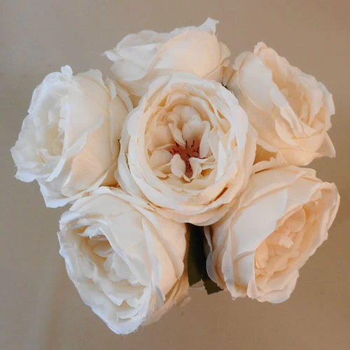 Artificial Cabbage Rose Posy Oyster Cream 32cm - R770 KK1