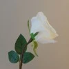 Artificial Roses Cream 65cm - R503 DD3