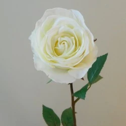 Artificial Roses Cream 65cm - R503 DD3