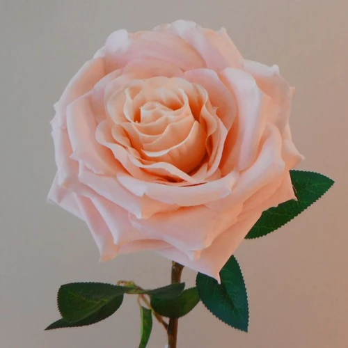 Artificial Roses Large Blush Pink 76cm - R705 H1