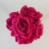 Artificial Roses Bunch Hot Pink 26cm - R597 M1