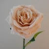 Artificial Roses Large Champagne Peach 76cm - R706 G1