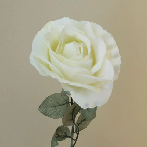 Artificial Roses Cream with Grey Green Leaves 74cm - R861 S3