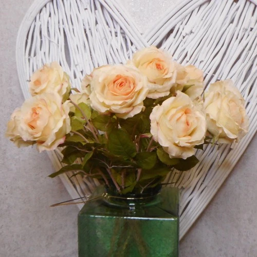 Roses Miss Havisham Peach 64cm - R516 M4